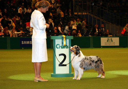 Crufts Dog Show Crufts5_500