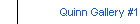 Quinn Gallery #1