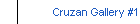 Cruzan Gallery #1