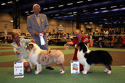 World   on Best Of Breed     World Dog Show     July 2008